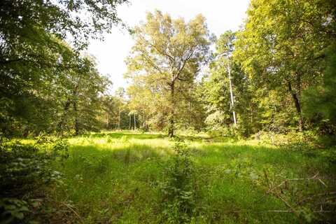 TBD 15.3 ac AN County Road 185, Elkhart, TX 75839