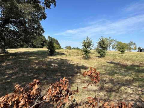 Lot 7 CR 3612, Brownsboro, TX 75756