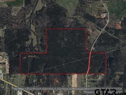 000 CR 210 (252.2 ac), Tyler, TX 75707