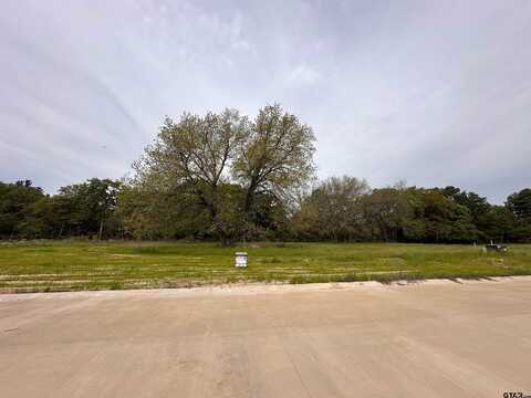 16943 Sawyer Way, Lindale, TX 75771