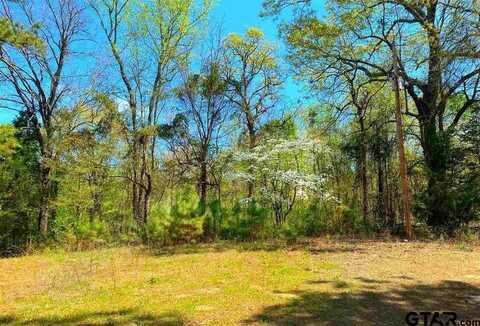 284 CR 2227, Douglassville, TX 75560