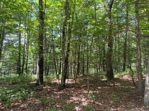 Lot 44 - Waiteville Rd, Waiteville, WV 24984