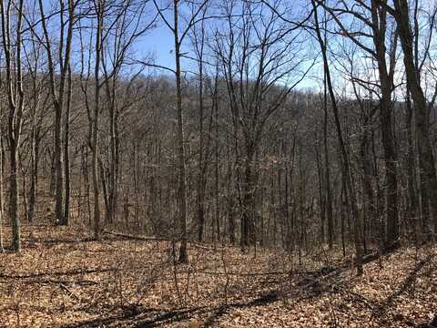 Lot 39 Wildwood Ridge,, Caldwell, WV 24925