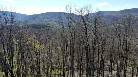 15 Hawthorne Ridge Rd, Slatyfork, WV 26291