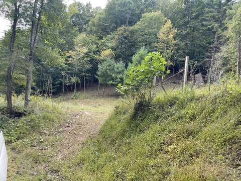 1363 Will Dodd Rd, Jumping Branch, WV 25969