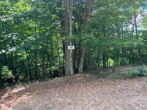 Lot 40 Waiteville Rd, Waiteville, WV 24984