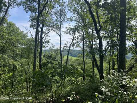 Lot 78 Scenicview Drive, Dallas, PA 18612