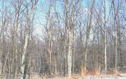 WS Lot 052 Summit Road, Hazleton, PA 18202