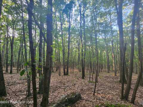 Lot 5 Autumn Drive, White Haven, PA 18661