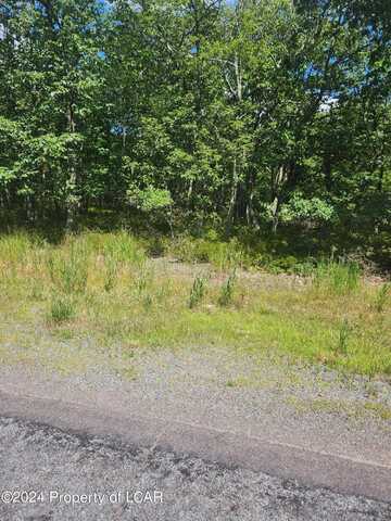 Lot 078 Buttonbush Lane, Hazle Twp, PA 18202