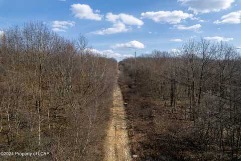 Berry Road, Archbald, PA 18403