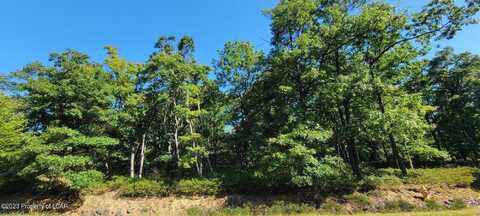 TH Lot 169 Buttonbush Lane, Hazle Twp, PA 18202