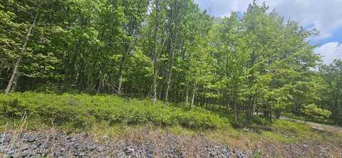 LV lot 052 CRNR Mountain Laurel & Dogwood Drive, Hazle Twp, PA 18202