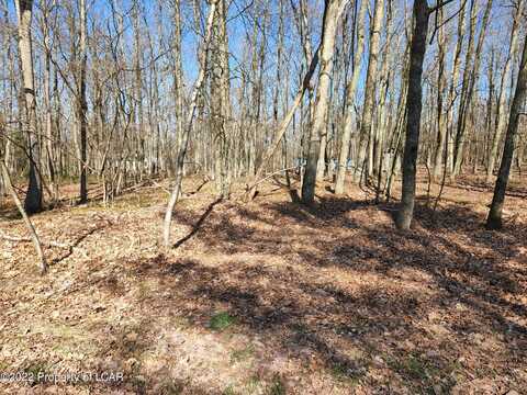 Lot 013 Hillary Drive, White Haven, PA 18661