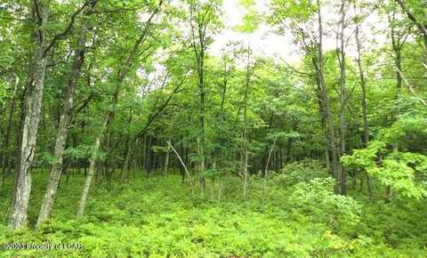 TV Lot 072 Hickory Lane, Hazle Twp, PA 18202