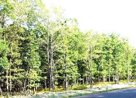 TV lot 298 Cranberry Lane, Hazle Twp, PA 18202