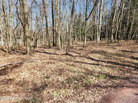 DD1 Whisper Drive, White Haven, PA 18661