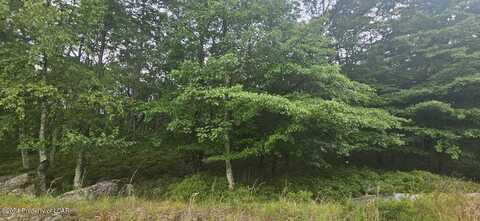 LV Lot 454 Wild Ginger Way, Hazle Twp, PA 18202