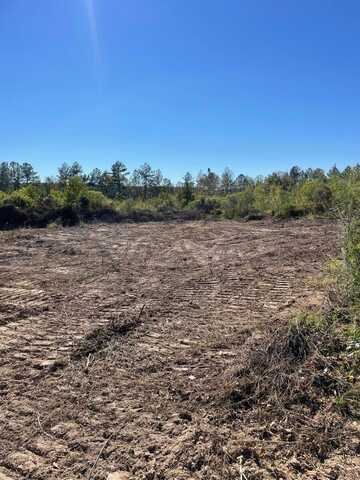 Lot 5 River Rd., Columbia, MS 39429