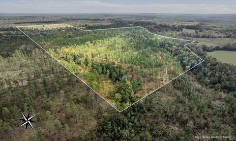 Parcel E 35.8 +/- Acres Luther Carter Rd., Petal, MS 39465