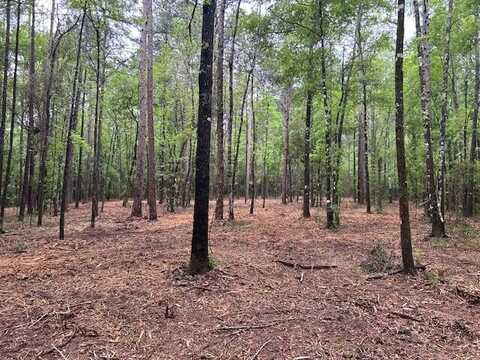 0 Rogers Lane, Foxworth, MS 39483