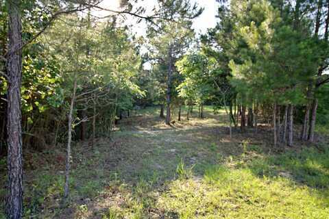 000 Claire Ln., Ellisville, MS 39437