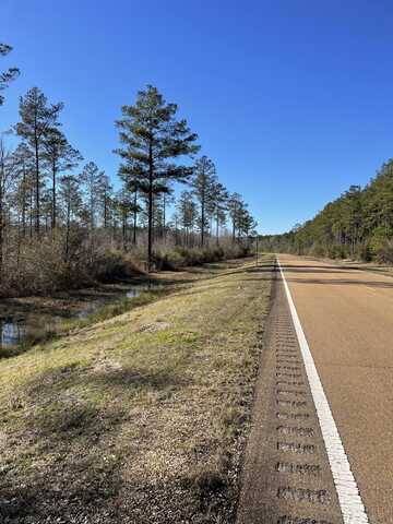 Lot 9 MS-44, Columbia, MS 39429