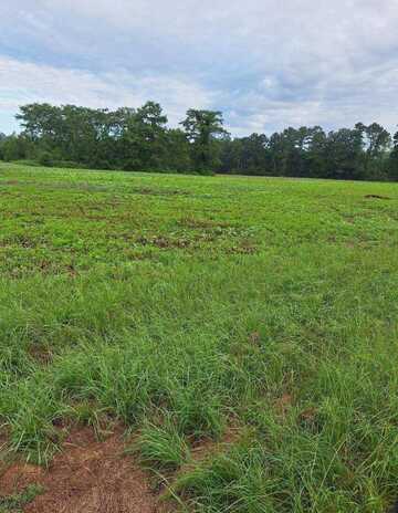 Lot 9 5.0 Acres Fire Tower Rd., Columbia, MS 39429