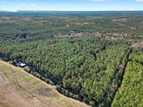 95 Gates Rd., Columbia, MS 39429