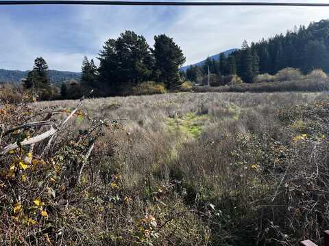 000 Holmes Flat Road, Redcrest, CA 95569