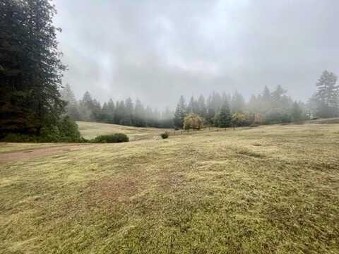 17351 Zenia-Lake Mountain Road, Kettenpom, CA 95595