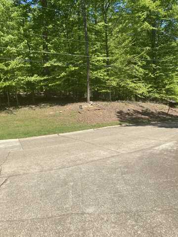 Lot 27 Wood Lomond Way, Huntington, WV 25705