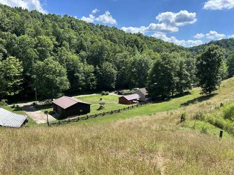 175 Parsons Branch, Fort Gay, WV 25514