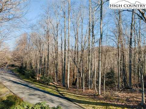 52 Raven Ridge Road, Banner Elk, NC 28604