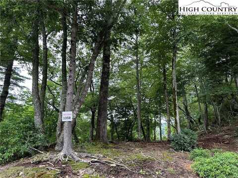 Lot 135r Firethorn Trail, Blowing Rock, NC 28605