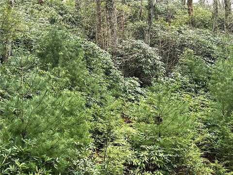 Lot 34 Piedra Road, Blowing Rock, NC 28605