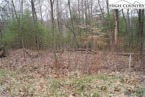 Lot 68 Forest Hill Drive, Sparta, NC 28675