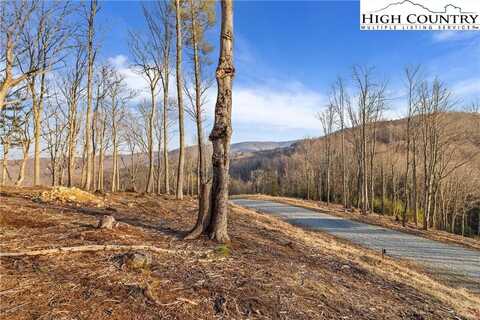 Wr-16 Firethorne Lane, Banner Elk, NC 28604