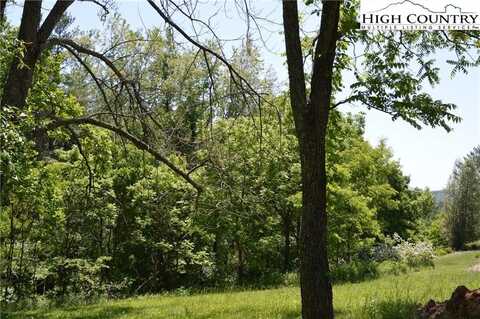 Lot # 1 Buckeye Ridge, Sparta, NC 28675