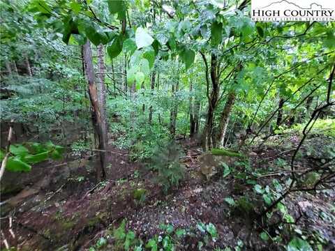 143 Raccoon Road, Beech Mountain, NC 28604