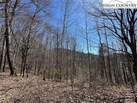 Lot 10 & Reserved Lot Yasmine Lane, Vilas, NC 28692