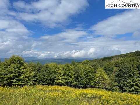 Tbd Old Mountain Road, Banner Elk, NC 28604