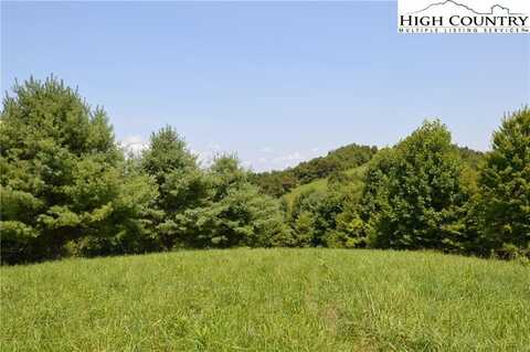 Lot #16 Twin Oaks Mountain Boulevard, Sparta, NC 28675