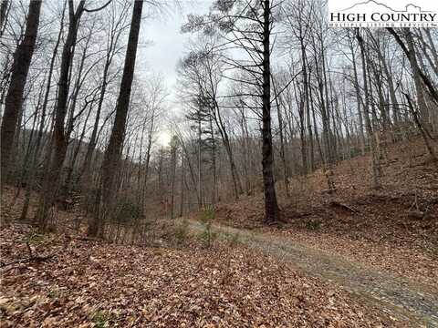 Tbd Ginger Mountain Lane, Warrensville, NC 28693