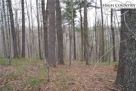 Lot 74 Forest Hill Drive, Sparta, NC 28675