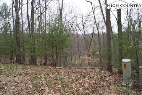 Lot 75 Forest Hill Drive, Sparta, NC 28675