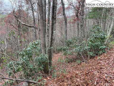 Tbd Lot 19 Lost Trail, West Jefferson, NC 28694