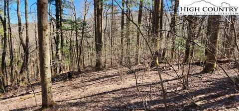 Tbd Parkway Estates Road, Laurel Springs, NC 28644