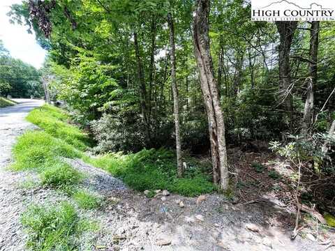 252 Greenbriar Road, Beech Mountain, NC 28604