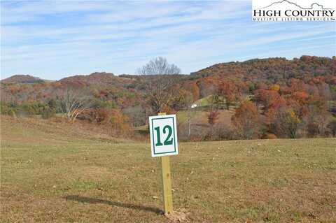 Lot #12 Turtle Ridge Road, Sparta, NC 28675